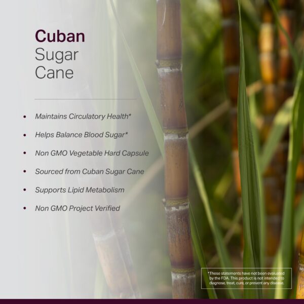 Caja de cápsulas policosanol