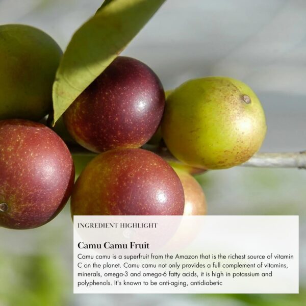 Version 1.0.0 Lista de ingredientes detallada