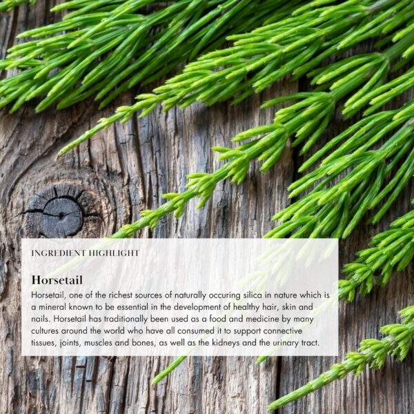 Detalles de etiqueta nutricional