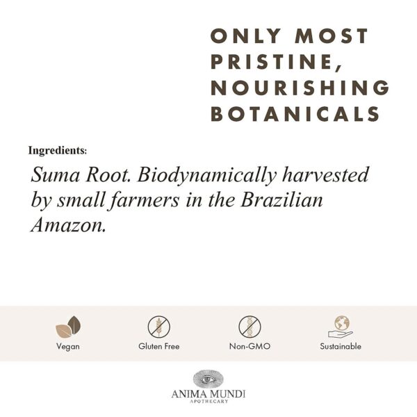 Version 1.0.0 Anima Mundi Apothecary polvo ginseng brasileño 113 gramos