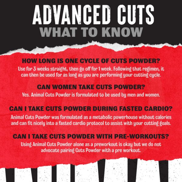 Version 1.0.0 Logo Animal en etiqueta