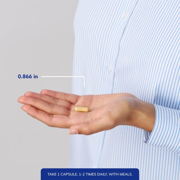 Cápsulas de AntiOxidant Formula en primer plano