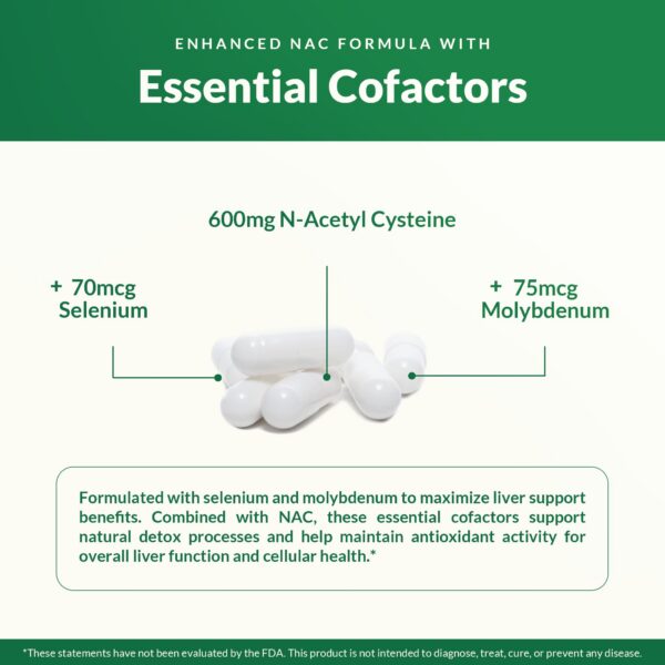 Version 1.0.0 Antioxidante Natural Wellness NAC Plus apoyo inmunológico