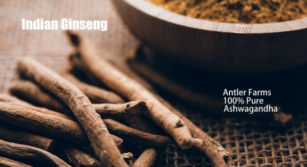 Antler Farms Ashwagandha raíz 100% pura sin pesticidas ni OGM imagen
