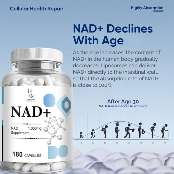 Apoya metabolismo y recuperación efectiva