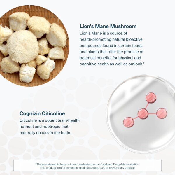 Apoyo cerebral Youtheory con Cognizin y melena de león