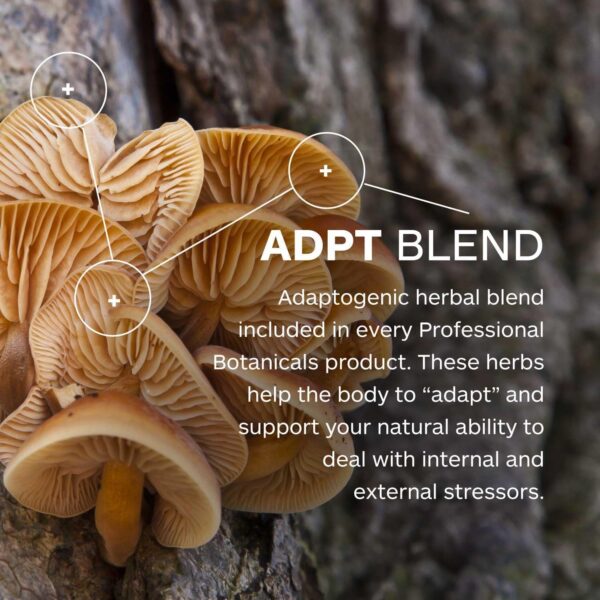 Apoyo para eliminar toxinas a nivel celular naturalmente