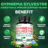 Apoyo sistema inmune y digestivo Gymnema Satoomi