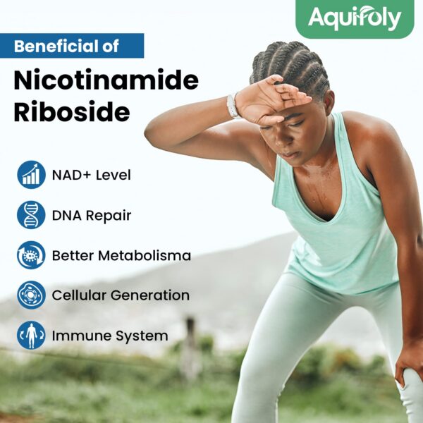 Contenido Aquifoly liposomal nicotinamide riboside