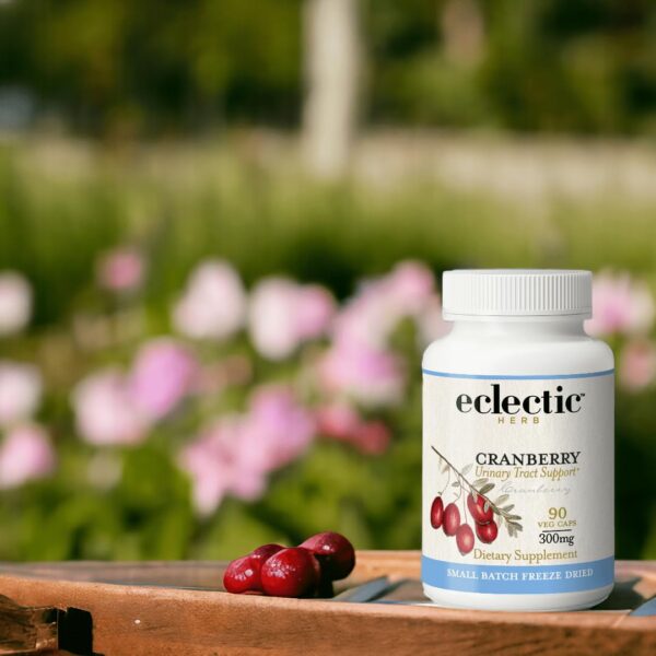 Version 1.0.0 Arándanos liofilizados naturales en cápsulas ECLECTIC INSTITUTE