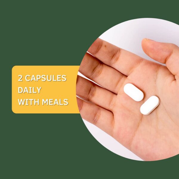 Version 1.0.0 ARMY HEALTH cápsulas cúrcuma ingredientes naturales