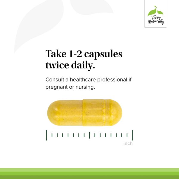 Version 1.0.0 Primer plano de cápsulas en fila