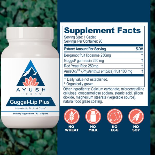 Version 1.0.0 Etiqueta detallada del Guggal-Lip Plus