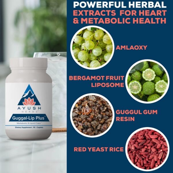 Version 1.0.0 Empaque de Guggal-Lip Plus sobre fondo blanco