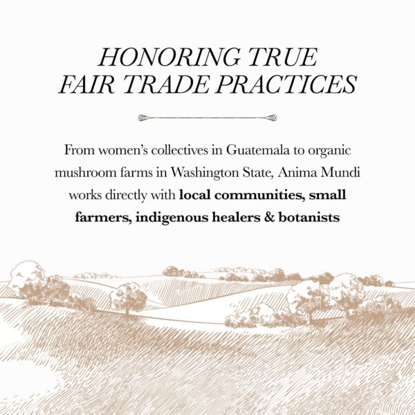 Version 1.0.0 Producto sin OGM y vegano