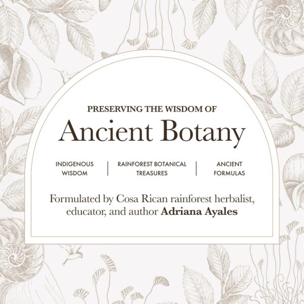 Version 1.0.0 Herbolarios en Brooklyn