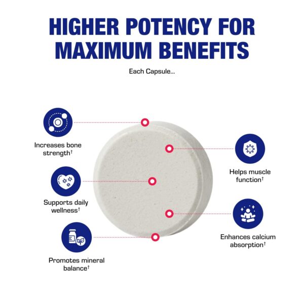 Conjunto de envases del suplemento