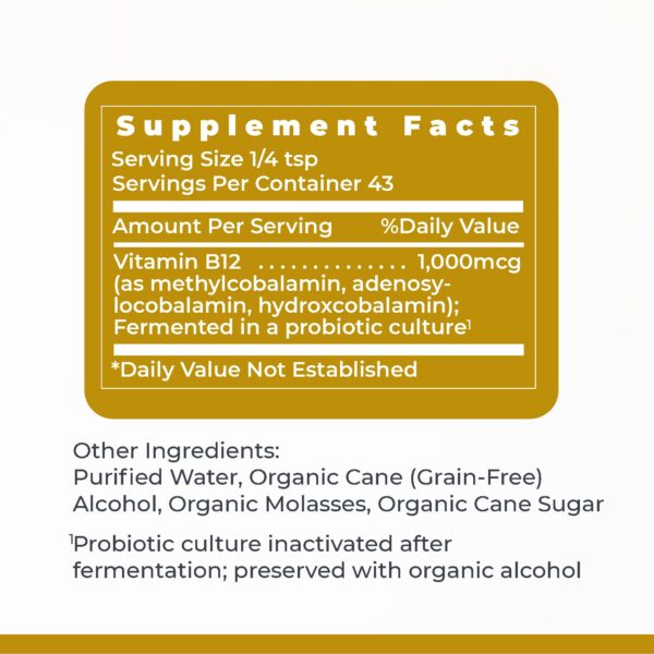 b12-nutrientes-para-vegano-vegetariano-premier