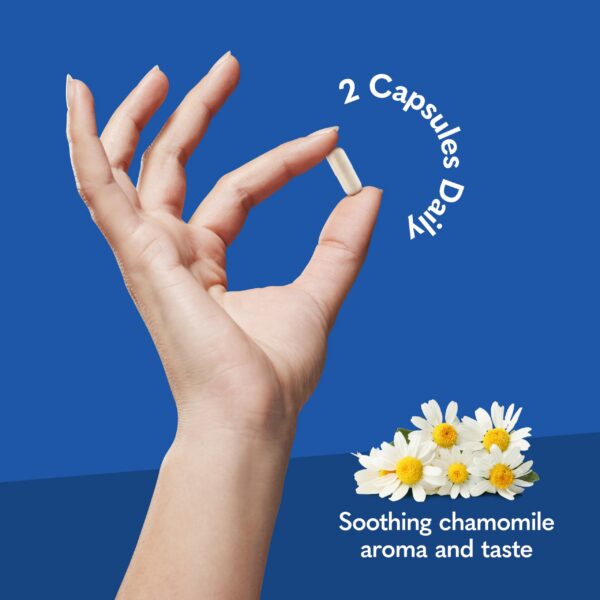 Version 1.0.0 Etiqueta con Bacillus coagulans SNZ1969