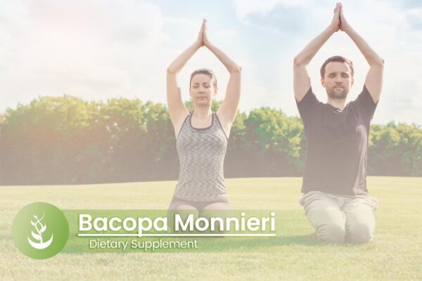 Version 1.0.0 Bacopa Monnieri 100 cápsulas fórmula natural para enfoque