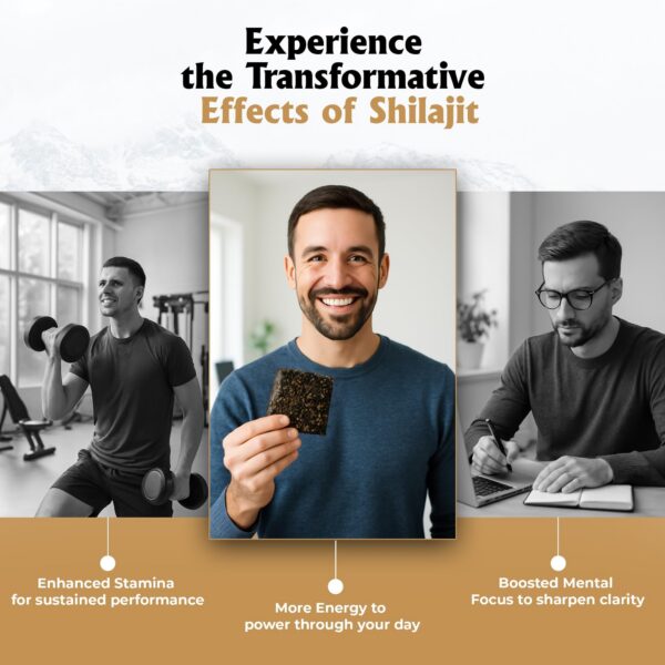 Barra saludable Shilala envuelta individualmente para portabilidad