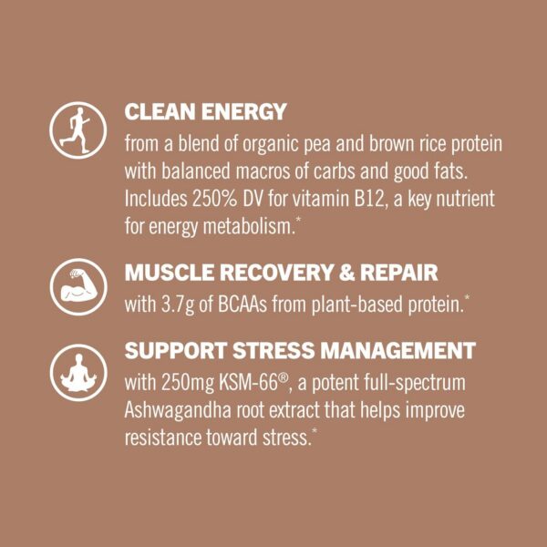 Batido proteinico OM Mushroom Superfood sabor chocolate