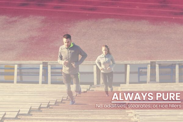 Baya de Espino como fuente de polifenoles