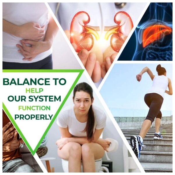 Bebida detox vegana mejora movimientos intestinales y energía