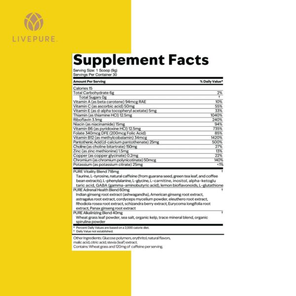 Version 1.0.0 Bebida energética PURE mezcla orgánica en polvo 270 gramos