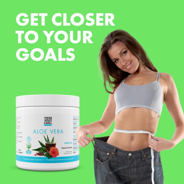 Polvo de aloe vera orgánico para hidratación y antioxidantes