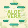 Version 1.0.0 Bebida salud piel y sistema inmunológico aloe vera aloe life