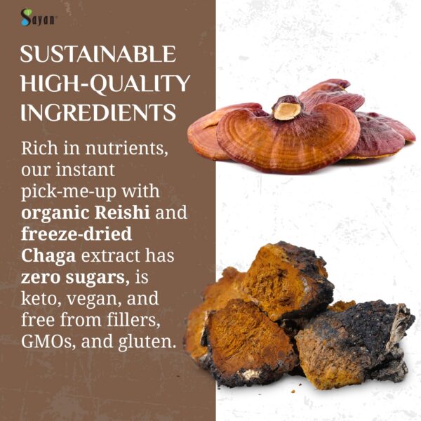 Version 1.0.0 Bebida saludable con Chaga siberiano y Reishi