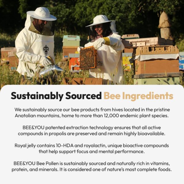 Ingredientes de Bee and You tabletas
