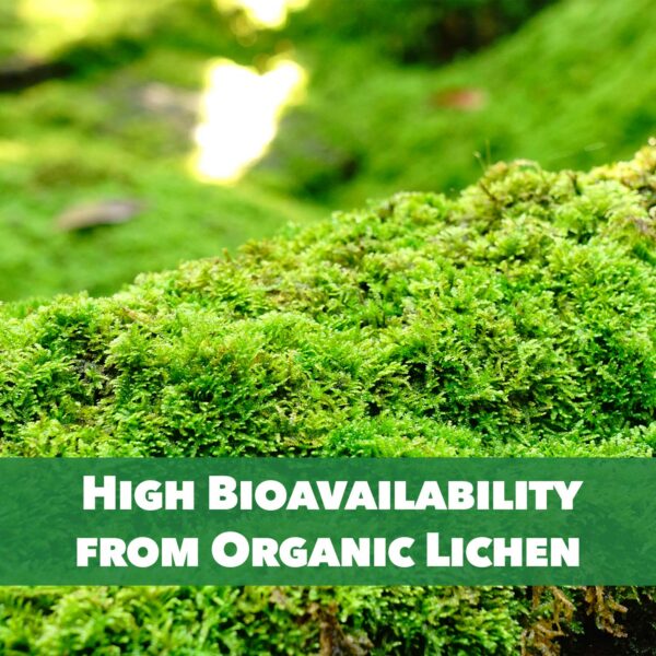 Beneficios PlantFusion Vitamina D3 vegana para huesos