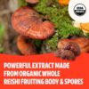 Beneficios del polvo de Reishi para el estrés