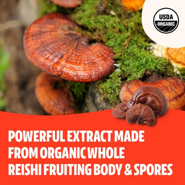 Beneficios del polvo de Reishi para el estrés