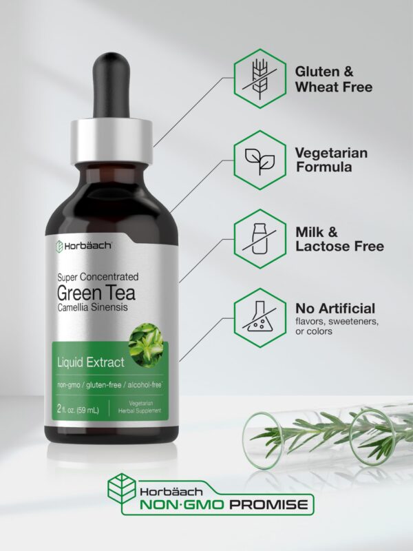 Beneficios del té verde extracto líquido concentrado Horbäach