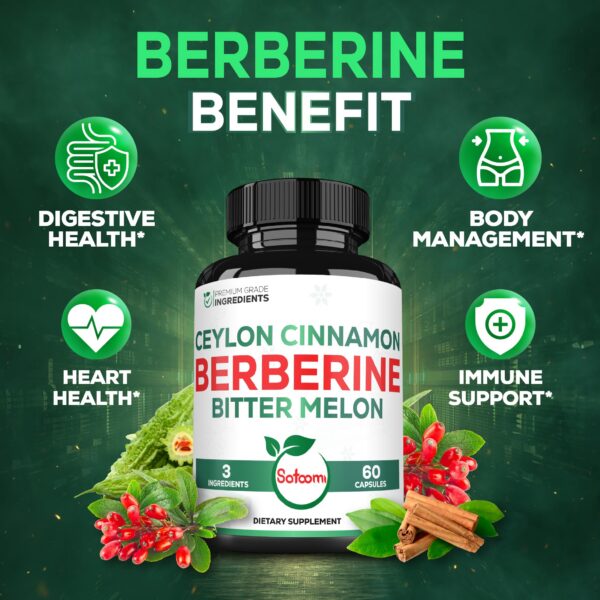 Berberina 1500mg alta pureza suplemento para sistema inmunológico