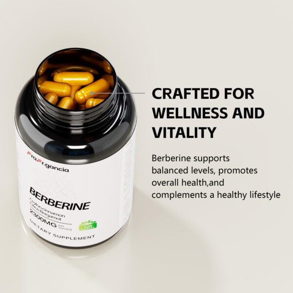 Version 1.0.0 Berberina suplemento FraFr.gancia vista superior del envase