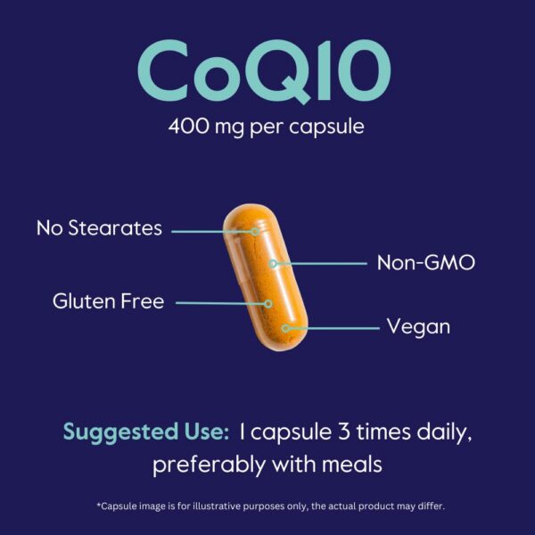 Certificación GMP de BESTVITE CoQ10 400 mg