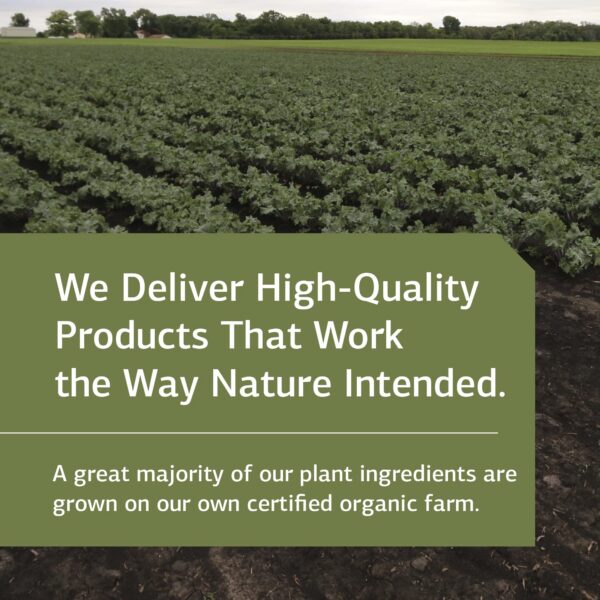 Betafood apoyo al hígado y digestión