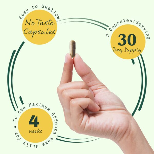 BetterLungs cápsulas naturales para sistema respiratorio