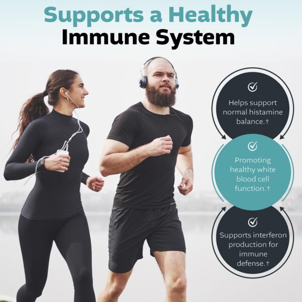 Version 1.0.0 Embalaje completo del producto