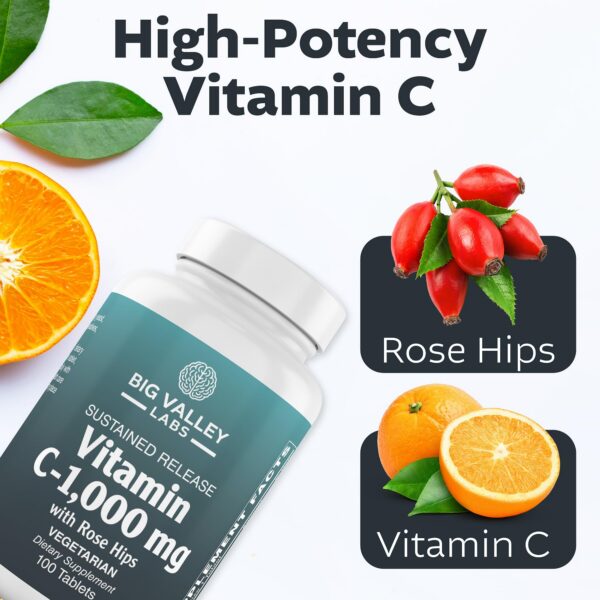 Version 1.0.0 Diferentes tabletas en un primer plano