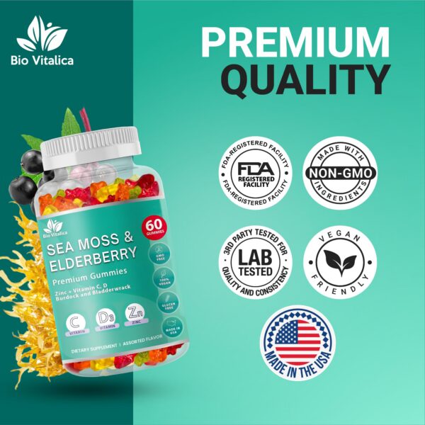 Sabor frutal de gomitas Sea Moss