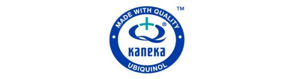 Detalle de palmitato de ascorbilo en la formulación