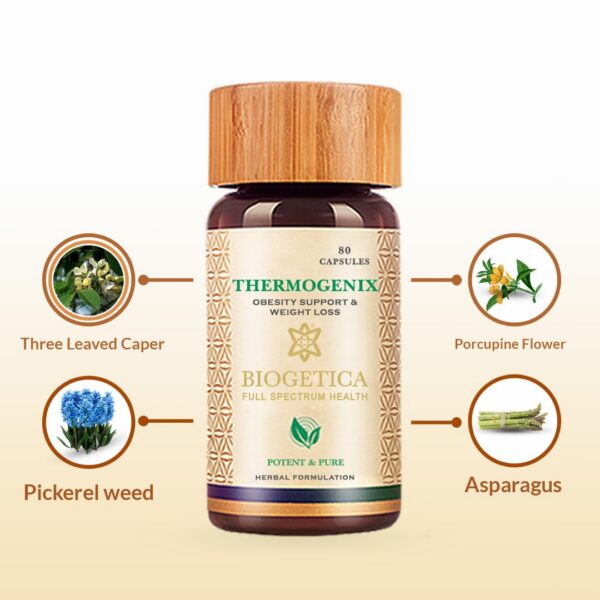 Version 1.0.0 Enfrente y sello de seguridad del envase