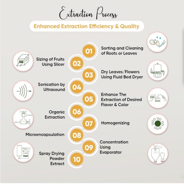 Contenido de polvos de vitamina C liposomal piña