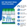 Sachets de colágeno sin sabor