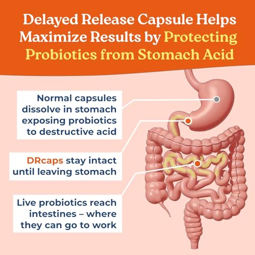 Blíster NatureCity True-Life-PB conservar probióticos vivos